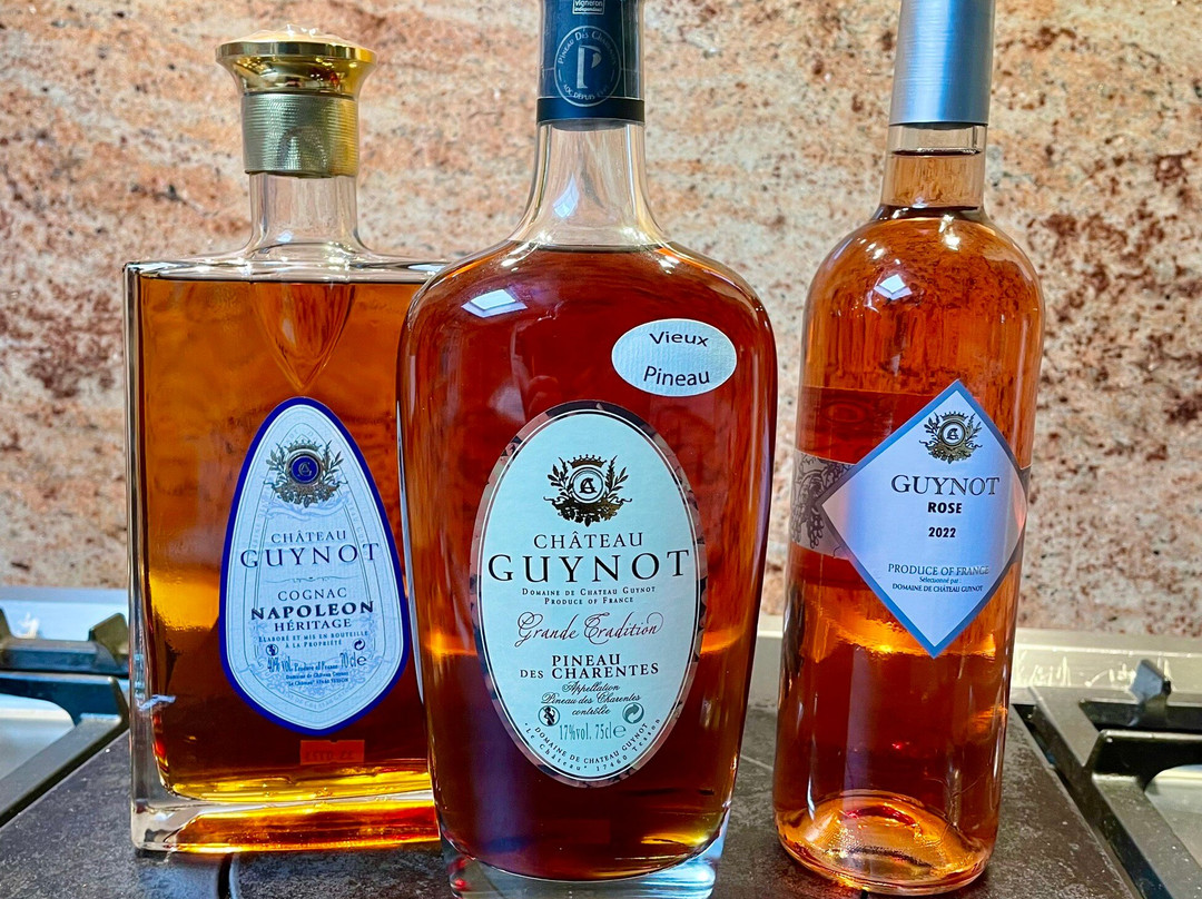 Domaine de Château Guynot景点图片