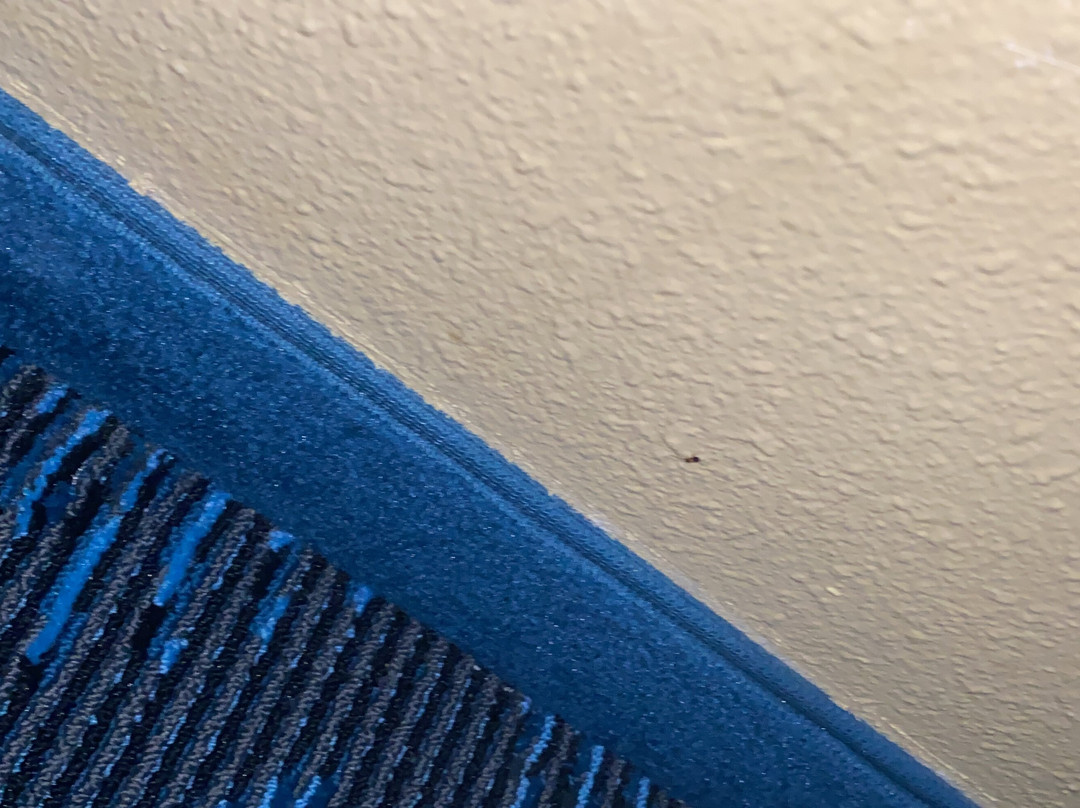 Super 8 by Wyndham Somerset主图