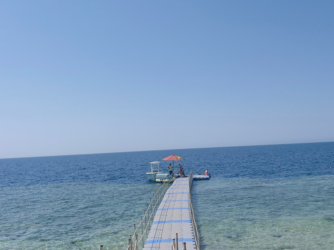 Shams Dive Centre-达哈卜必去景点