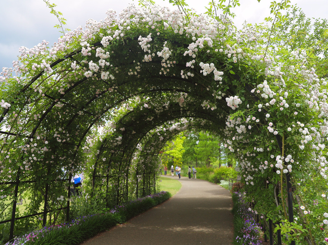 Mitsuke English Garden景点图片