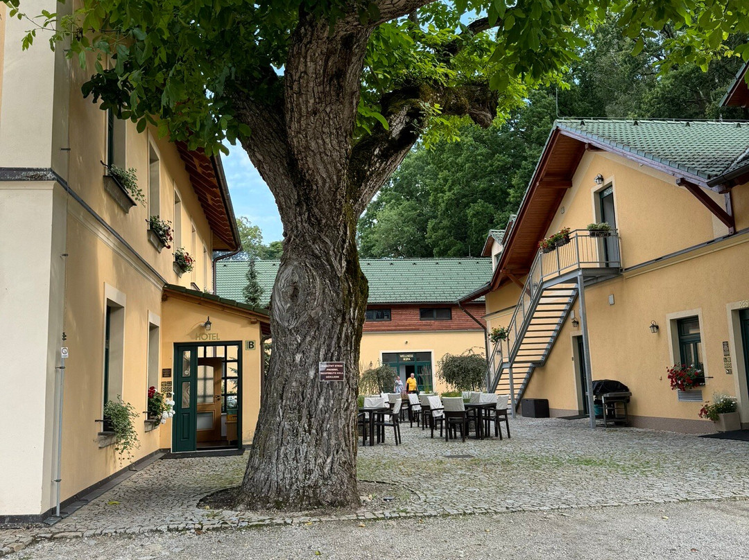 Resort Johanka主图