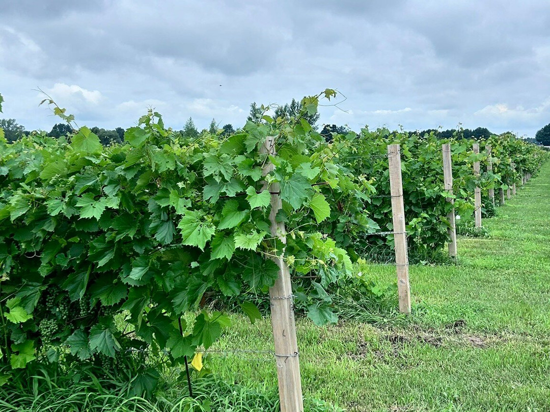 Vignoble Lano d'Or-Lavaltrie必去景点