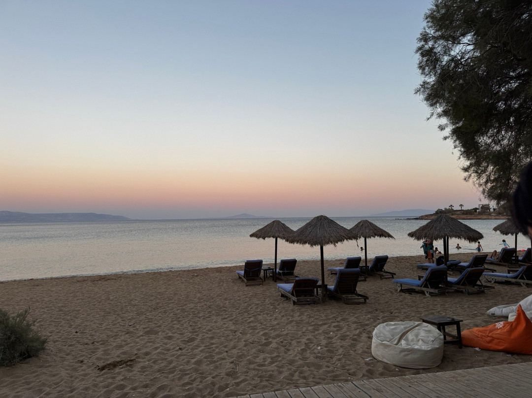 Cactus Beach Paros主图