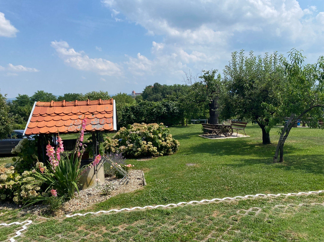 Panorama Metka Gutschi主图