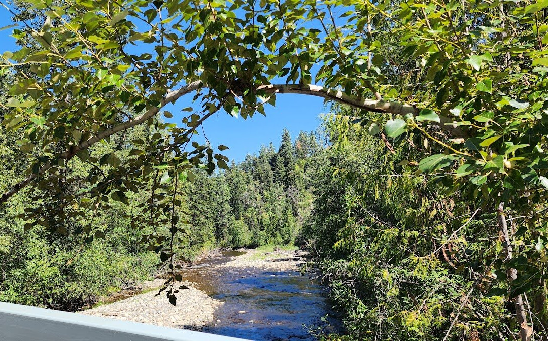 Scenic Canyon Regional Park景点图片