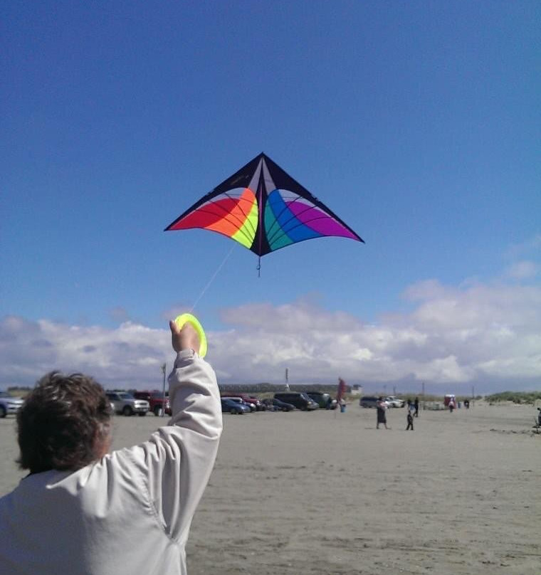 Polynesian Resort主图