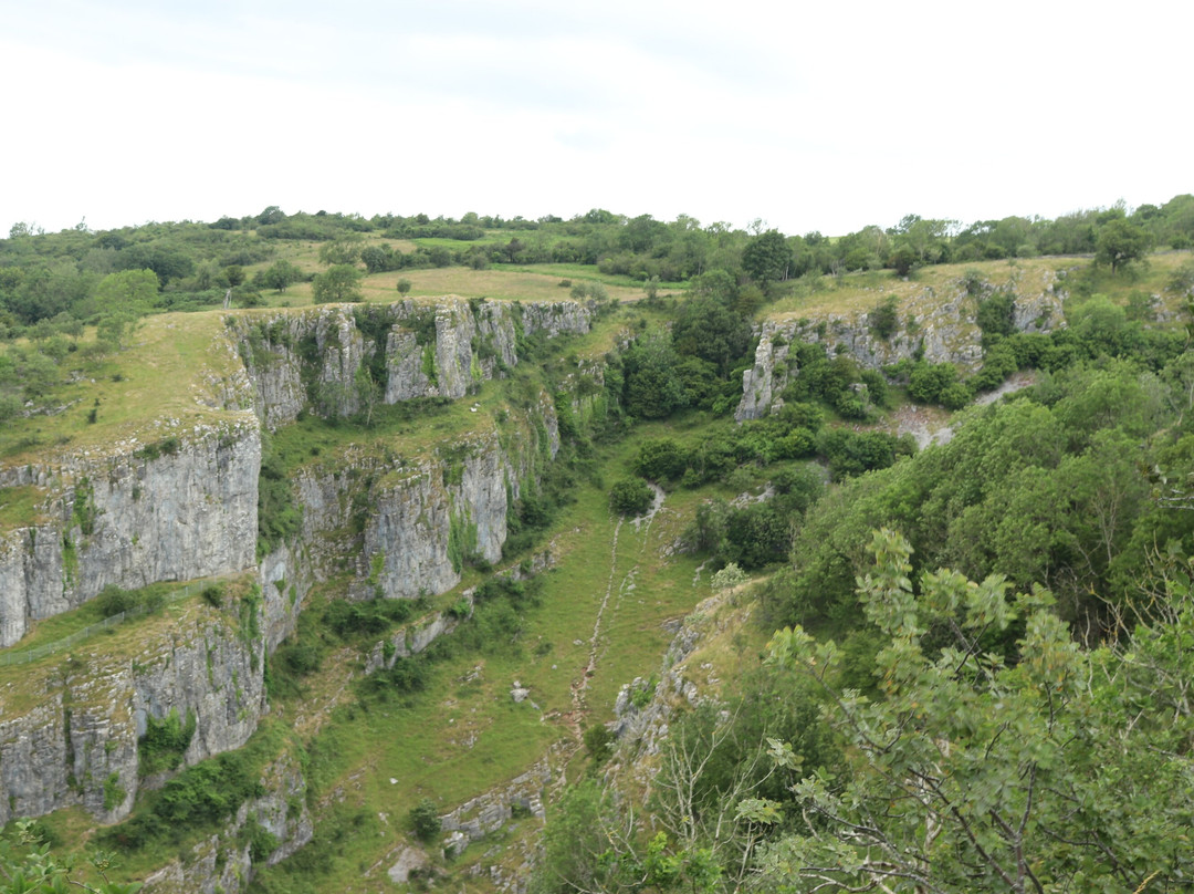 Cheddar Gorge Cliff-top Walk景点图片