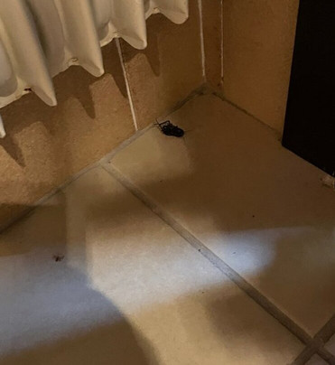 Panoramahotel Unterinnerhof主图