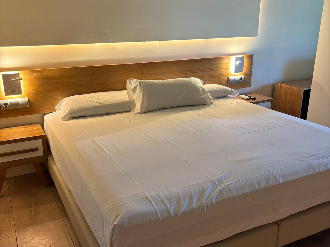 Hotel Brisamar Suites主图