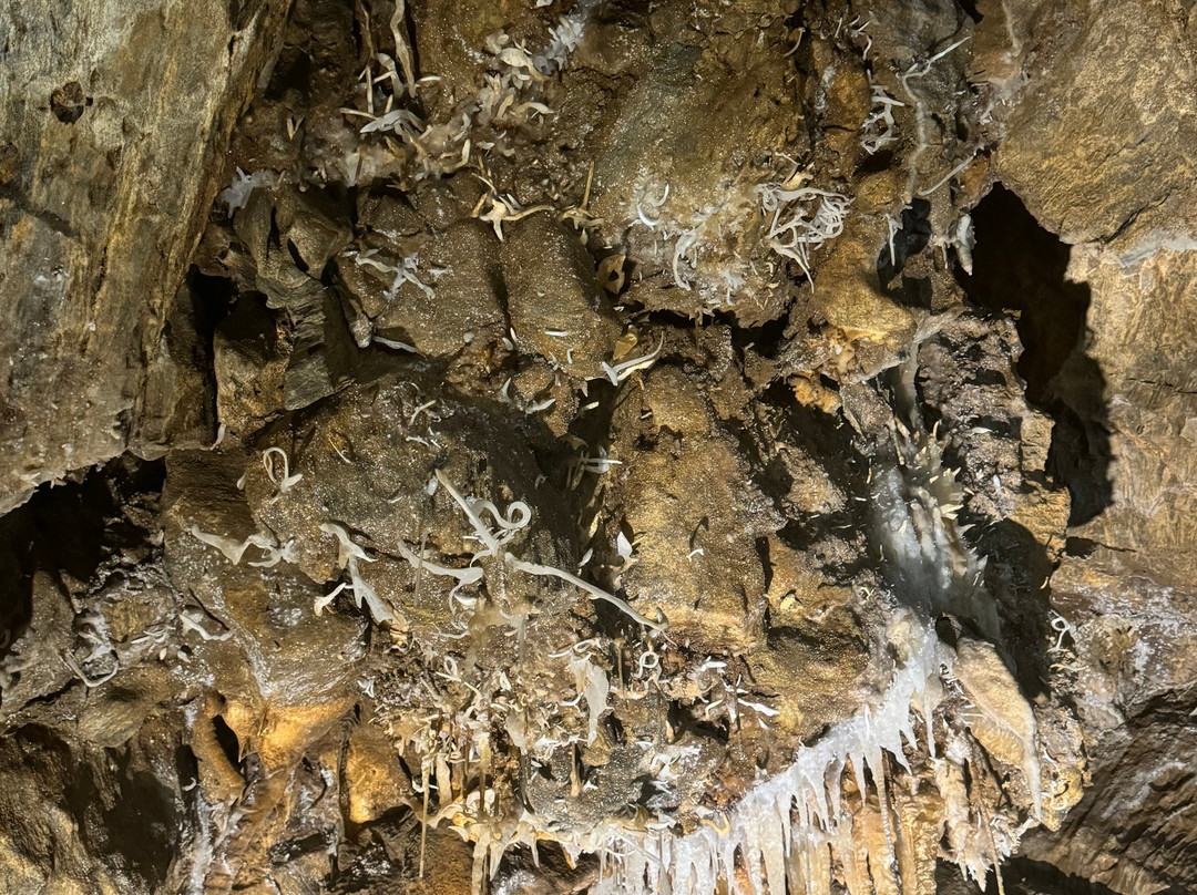Black Chasm Cavern景点图片