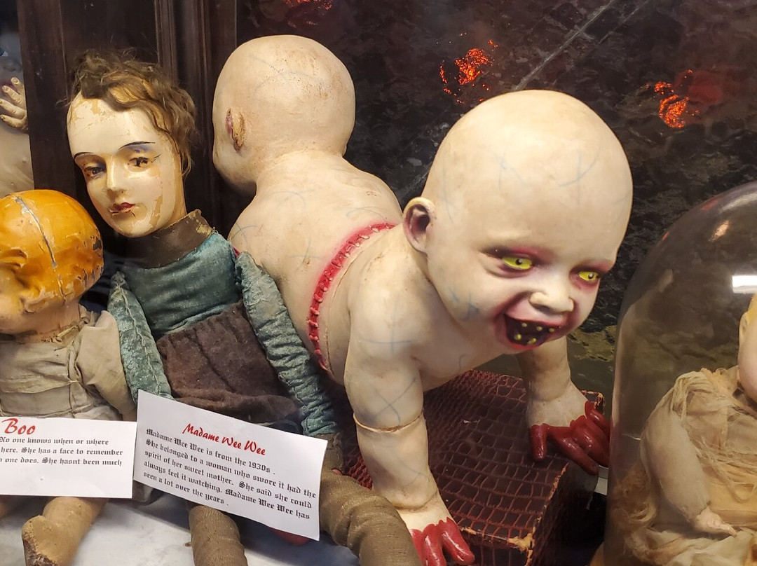 The Secret Chamber House Of Oddities And Artwork-Fairborn必去景点