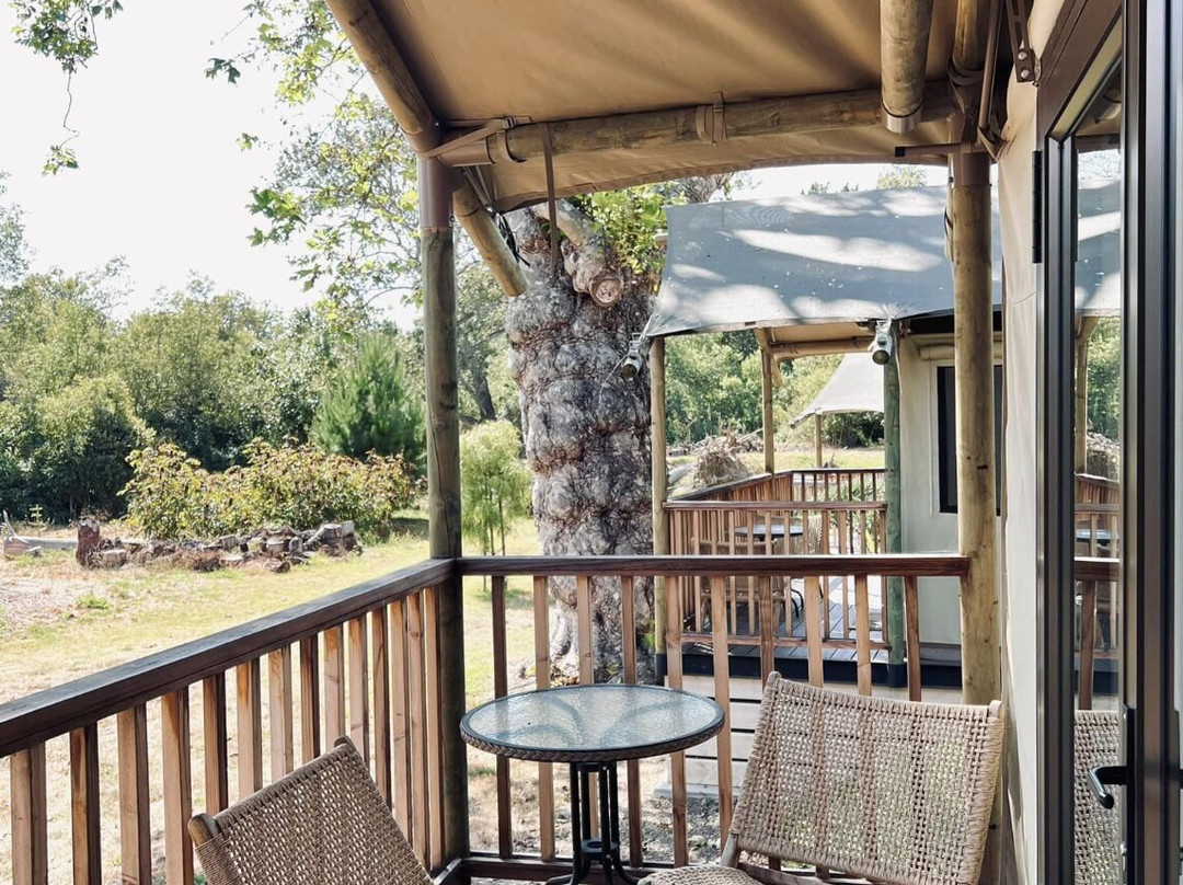 卡梅尔河旅馆主图