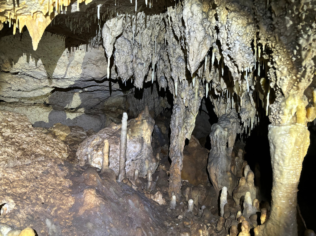Parque Ecoturistico Cenote Aktun Bej景点图片