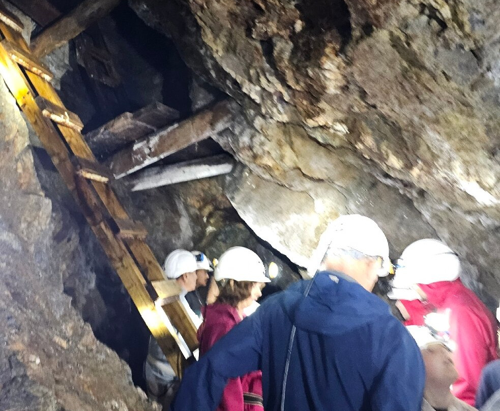 Dolaucothi Gold Mines-Llanwrda必去景点