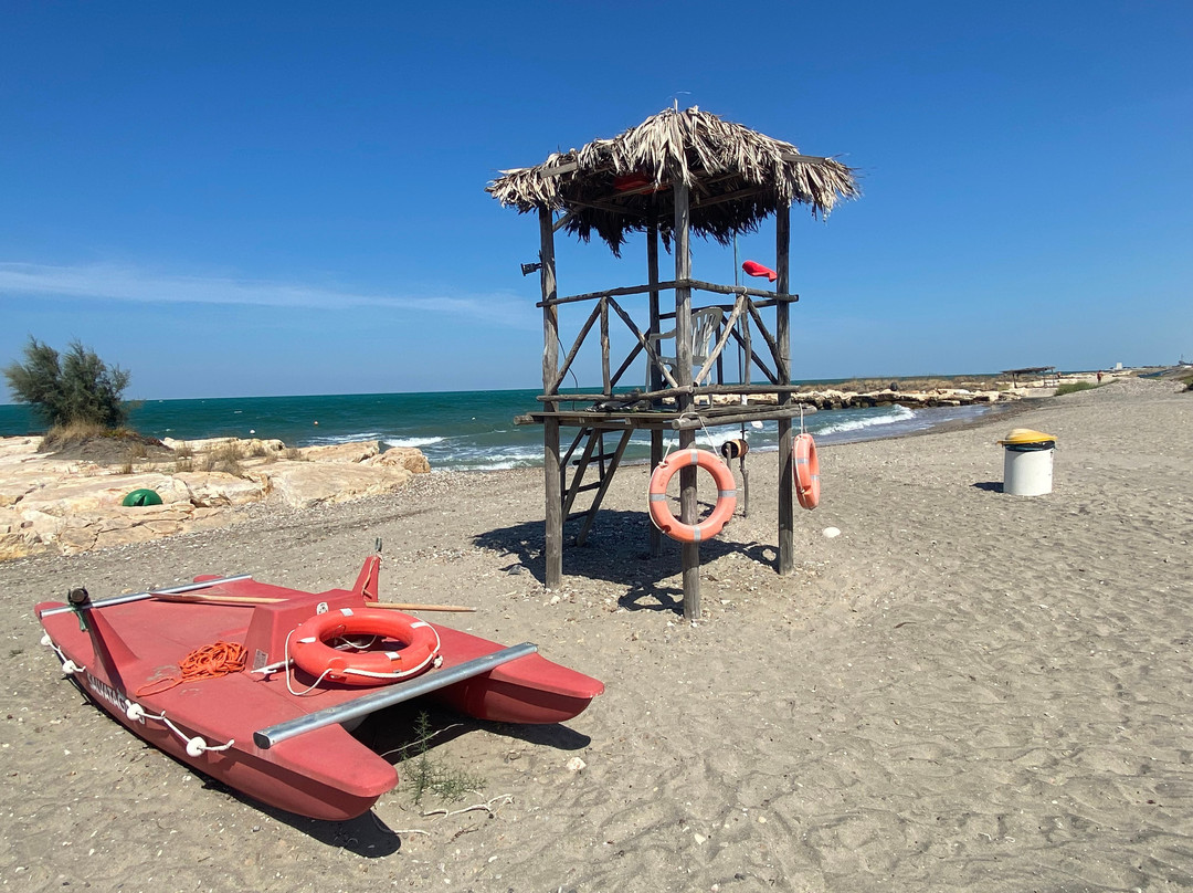 B&B Fenicottero Rosa主图