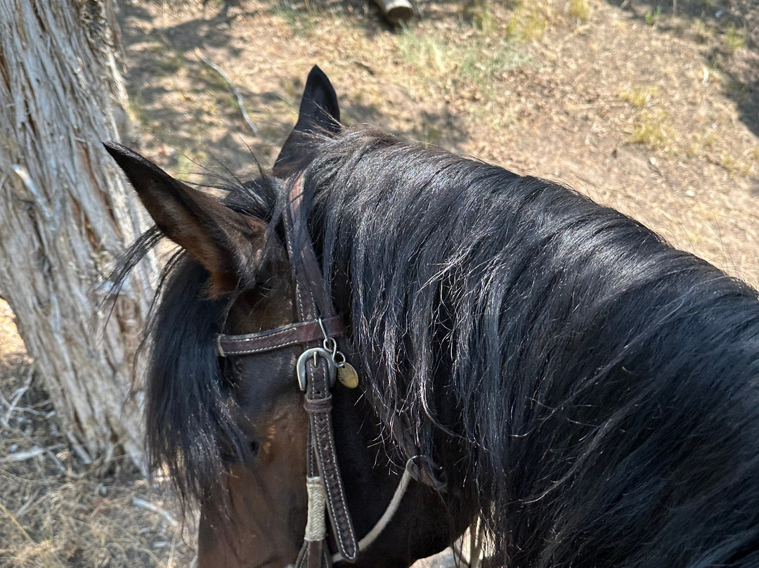 Wind in your Hair Riding-Wanship必去景点