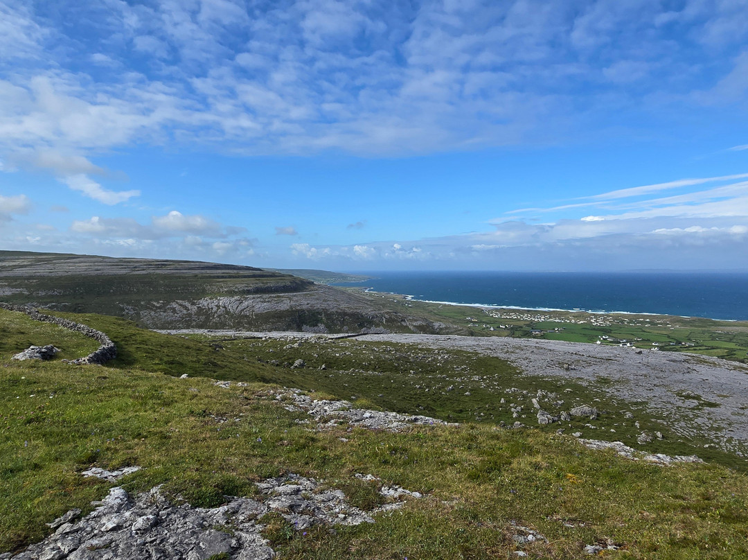 Burren Mountain Tours景点图片
