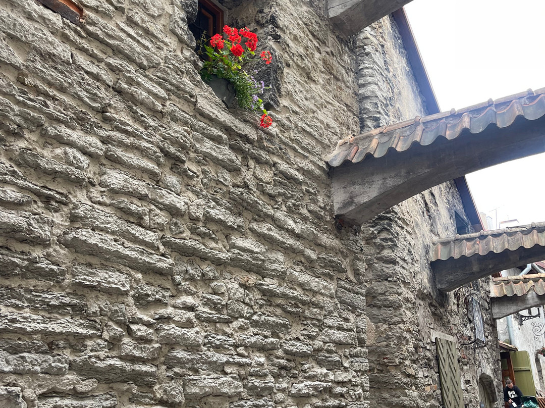 Estonia4u-塔林必去景点