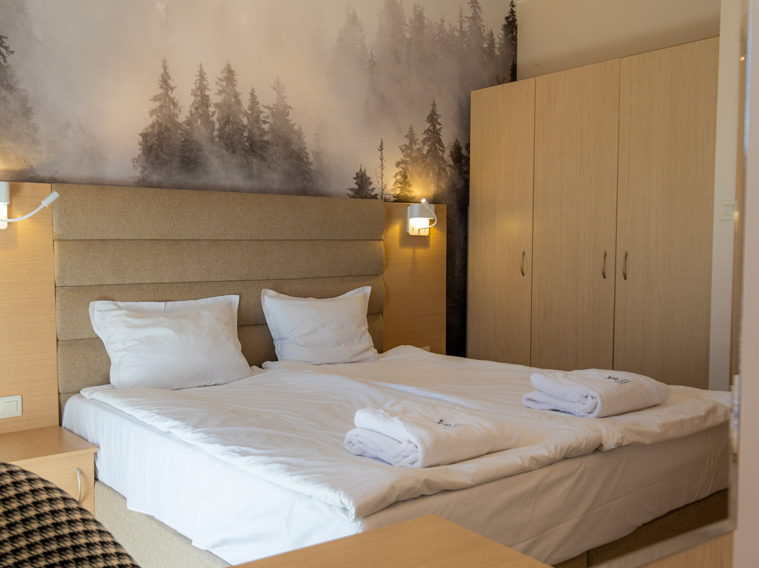 Hotel Orpheus Pamporovo主图