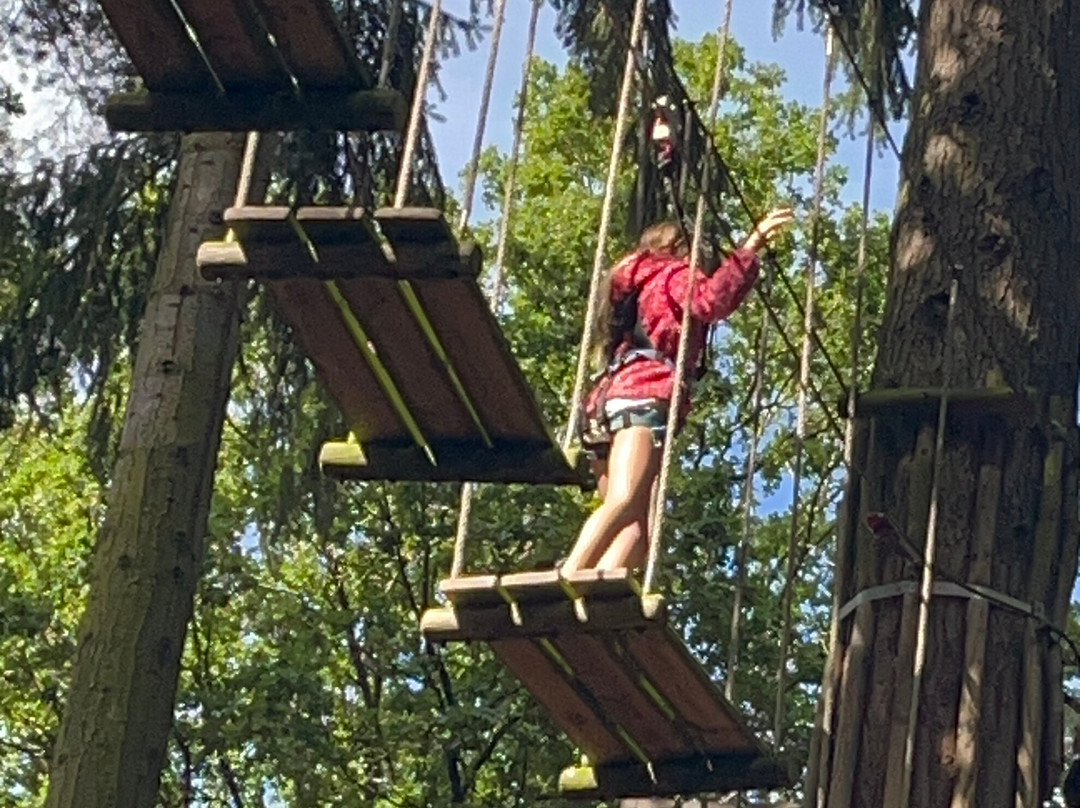 Go Ape Thetford景点图片