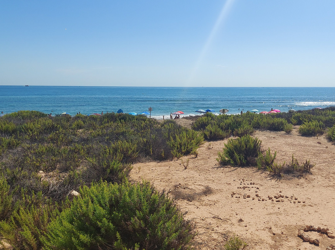 Platja Del Carabassí景点图片
