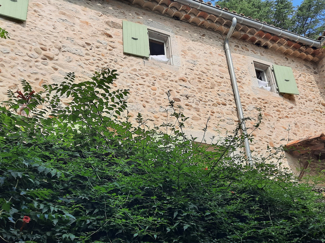 Les Cailloux Dorés主图
