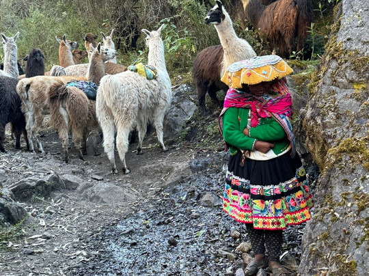 Llama Pack - Day Tours-乌鲁班巴必去景点
