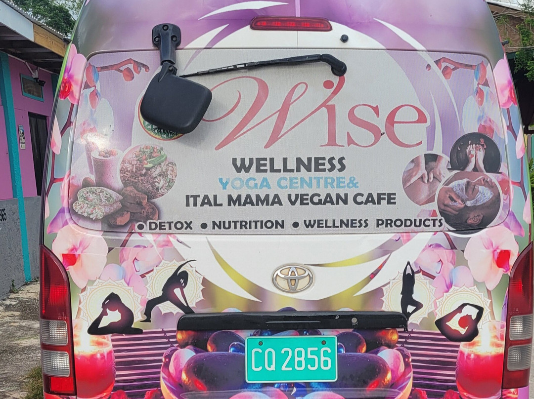 Wise Wellness Centre-瑰宝滩必去景点