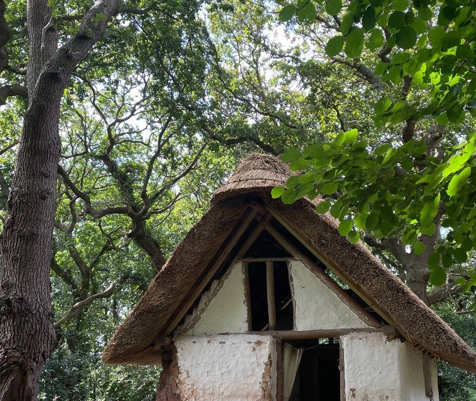 Little Woodham Living History Village景点图片