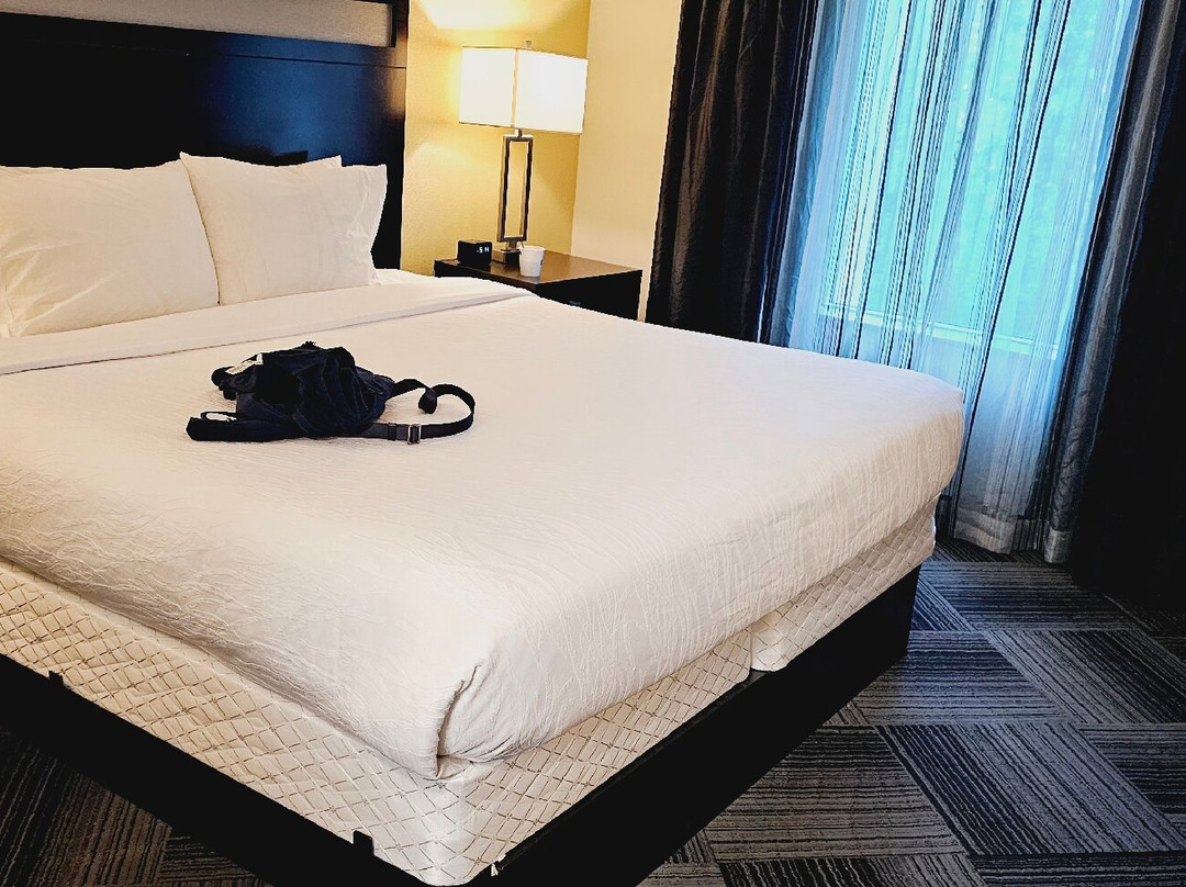 西雅图贝尔维尤市中心汉普顿套房酒店主图