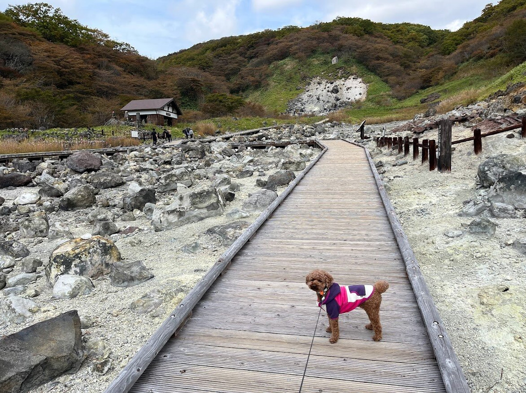 Sesshoseki Rocks-那须町必去景点