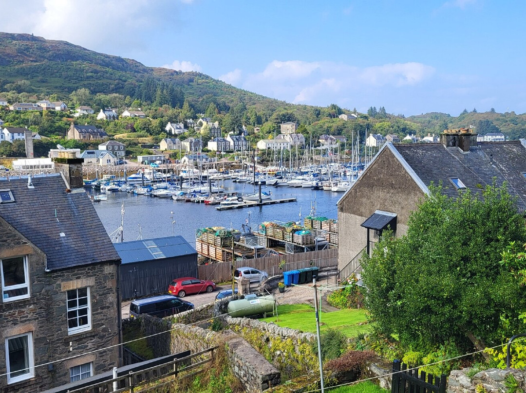 The Tarbert Hotel主图