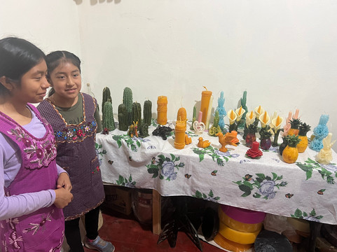 Inspire Travel-瓦哈卡必去景点