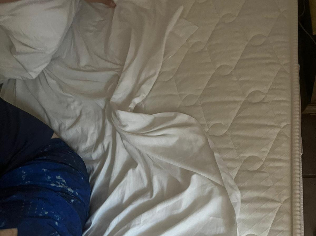 戴安娜酒店主图