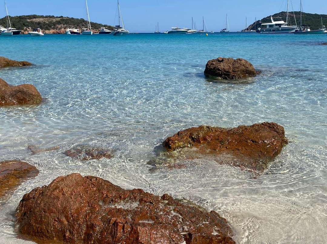 Plage de Rondinara景点图片