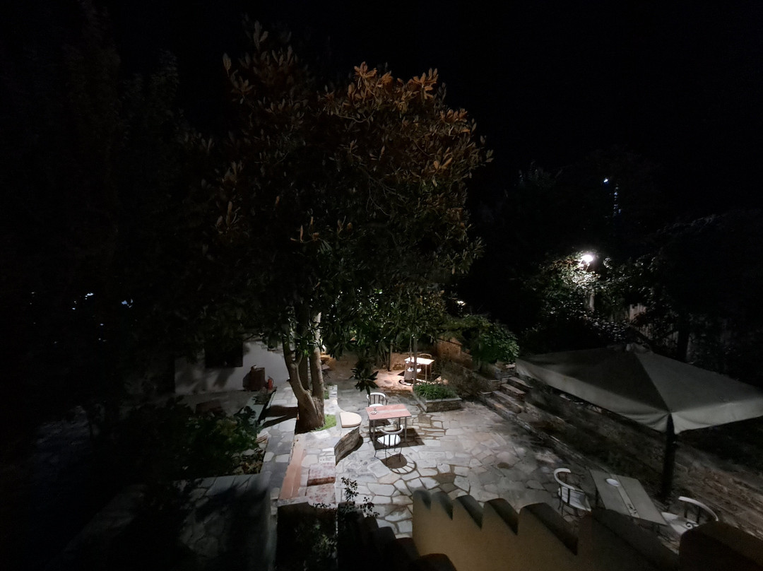 Αrnica Montana主图