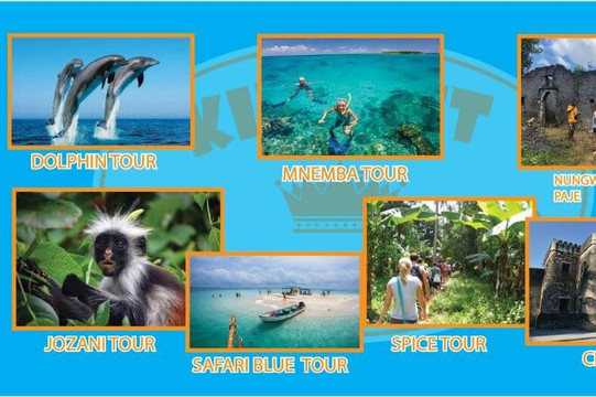 Kingnet Tours and Trave