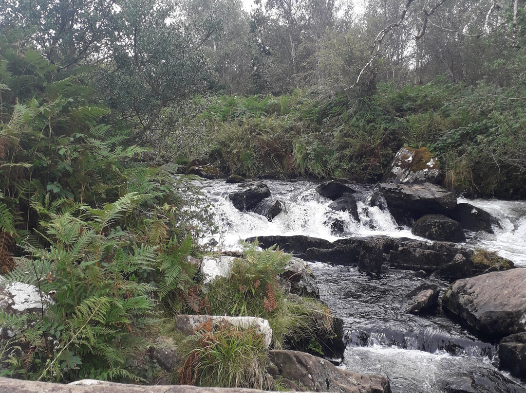 Nantcol Waterfalls景点图片