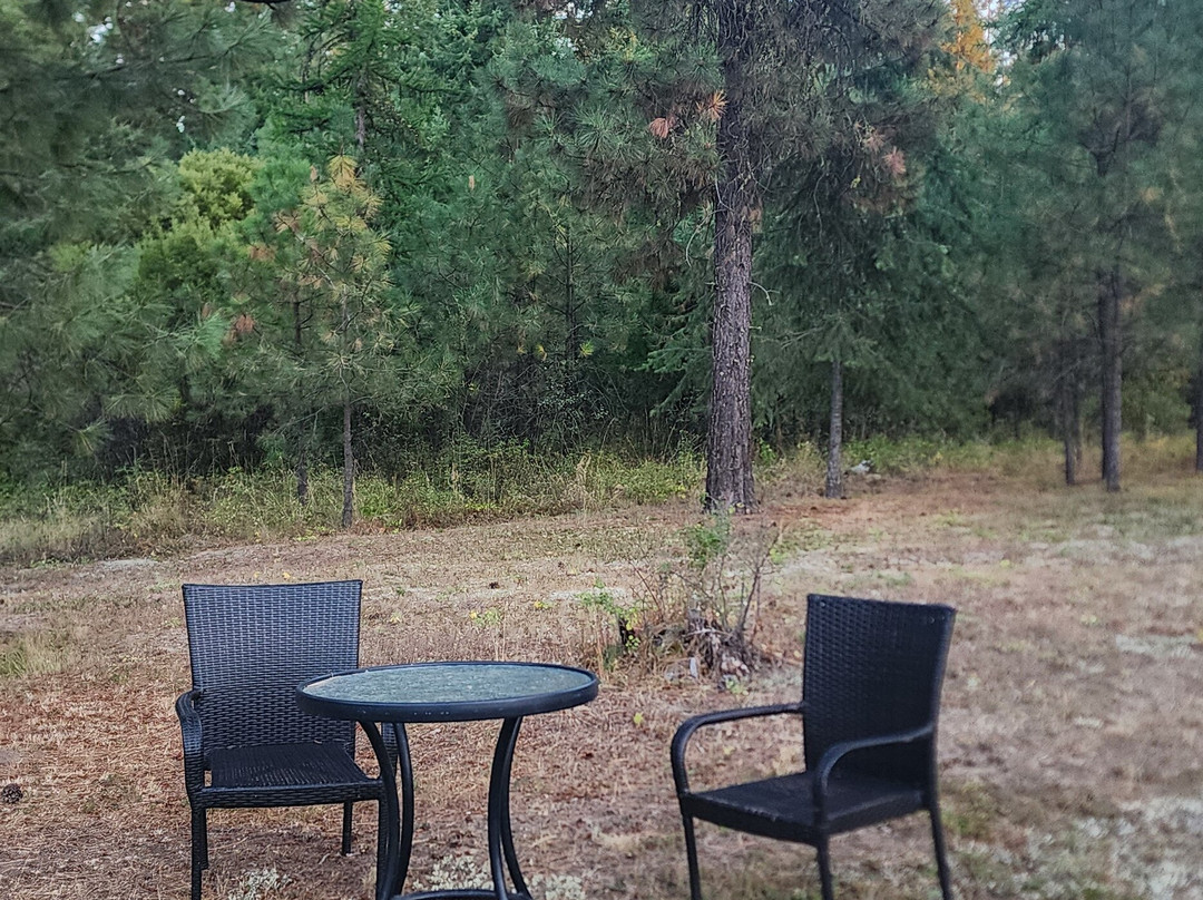 White Willow Motel主图