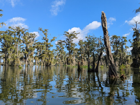 Swamp Tours With Wendy-布里奥克斯桥必去景点