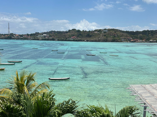 Aurora Beach View主图