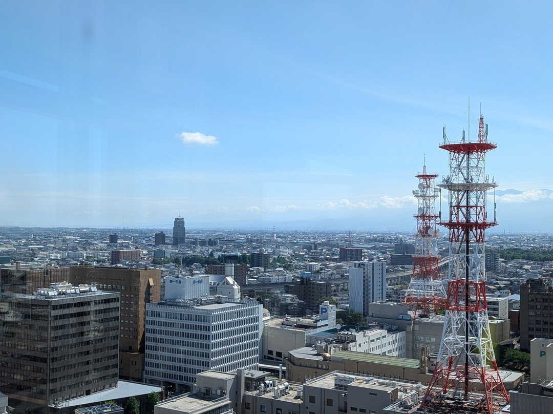 Toyama City Office View Tower景点图片