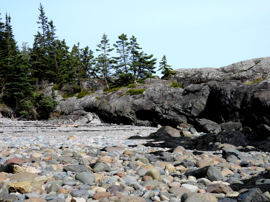 Irving Nature Park-圣约翰必去景点