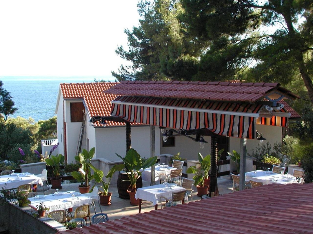 Guesthouse Matijevic主图