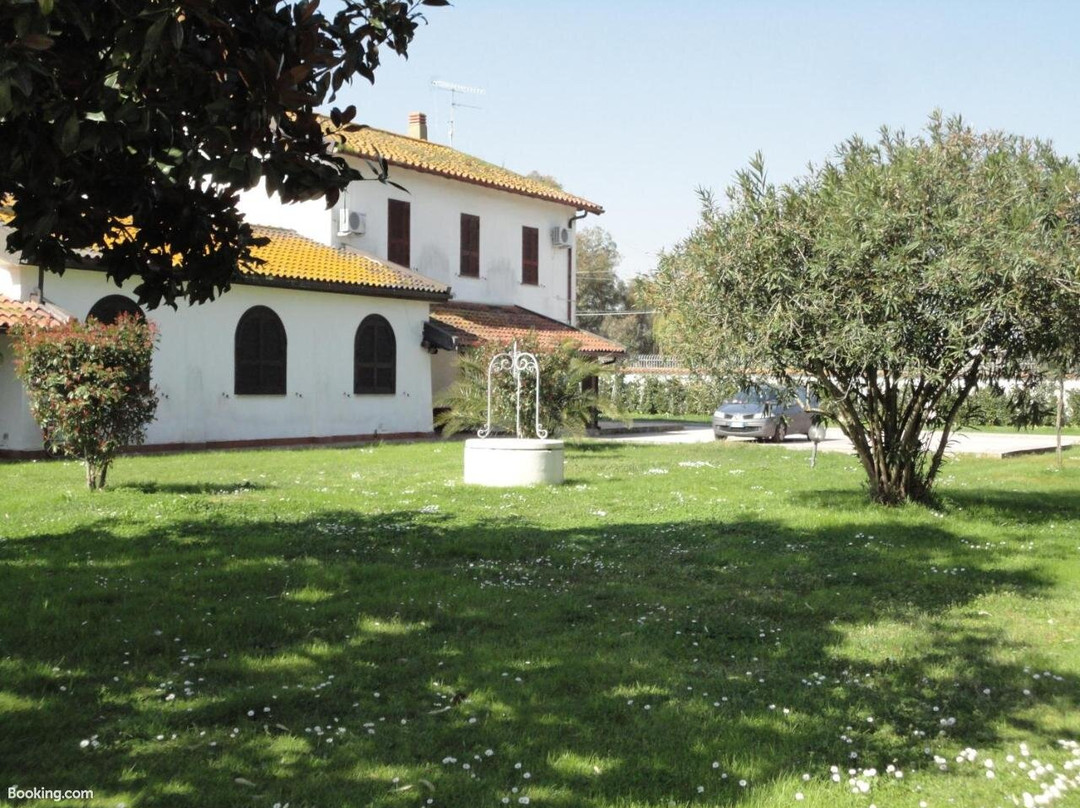 Tenuta di Vado Piano Nella Selva di Circe主图