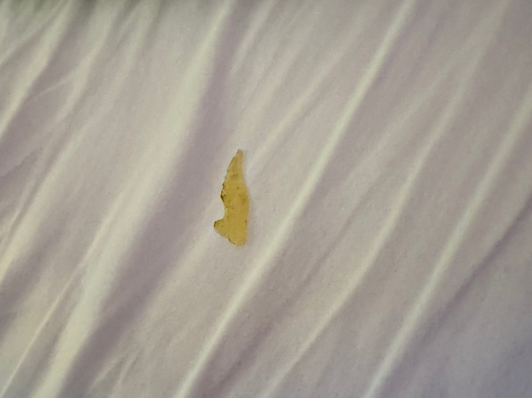 Hotel DeFuniak主图