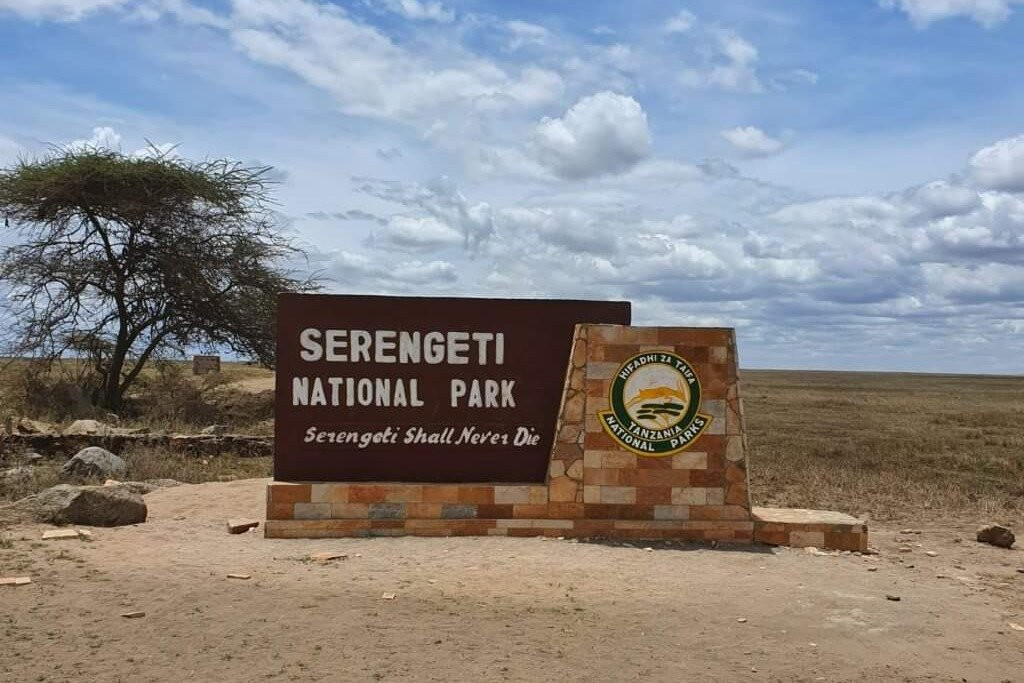 Best Serengeti Safari Holiday & Tour Packages: Afro-Vertex Tours & Safaris