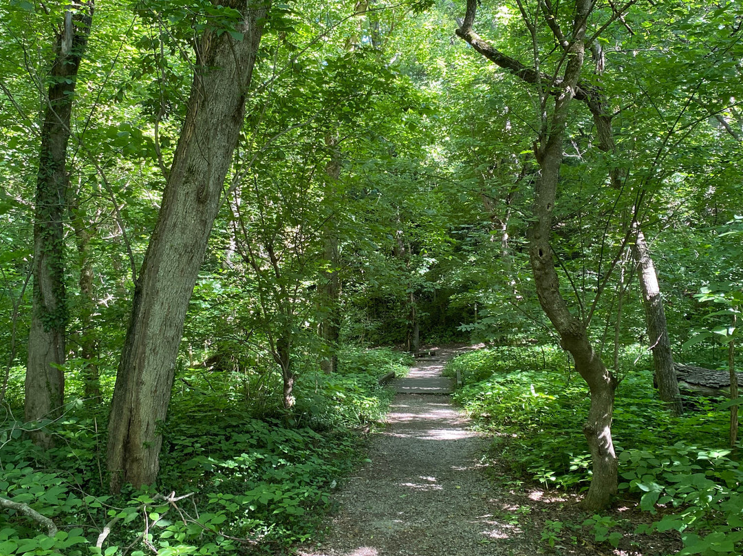 Wegerzyn Gardens MetroPark-代顿必去景点