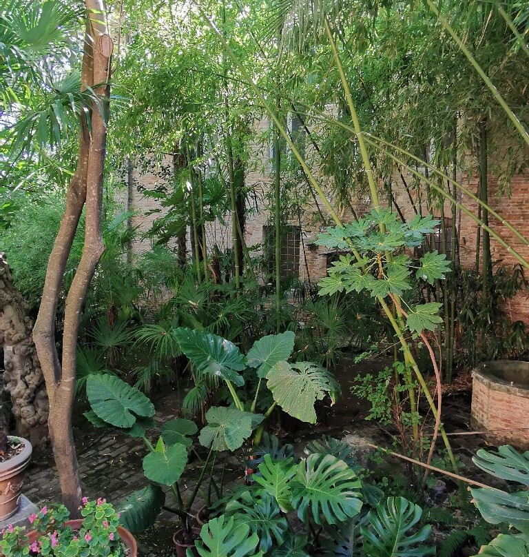 Orto Botanico Dell'Università di Urbino Carlo Bo景点图片