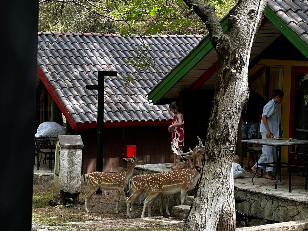 Llogora Tourist Village主图